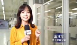 娱乐大爆料王冰冰视频,娱乐大爆料背后的真相与精彩瞬间