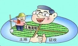 农村纠纷爆料案例最新版,邻里矛盾升级，法律维权之路如何走？