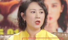 马丽老公爆料视频播放大全,揭秘明星夫妻背后的故事