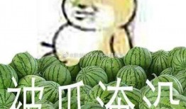 黑料吃瓜爆料网红一区