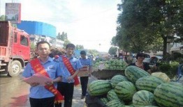 陇南康县网红吃瓜事件,一场网络狂欢背后的真相与反思