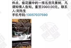 网友视频爆料,揭秘事件背后惊人真相