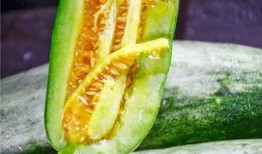 十位吃瓜网红,揭秘娱乐圈幕后风云