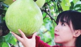 黑料吃瓜爆料网红一区