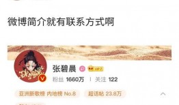 两人爆料娱乐圈小说,幕后真相大揭秘