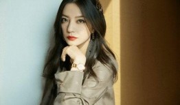 瓜哥爆料杨紫肖战视频播放,播放量惊人引热议