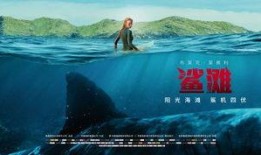 鲨滩在线观看免费版,惊险海浪中的生存挑战