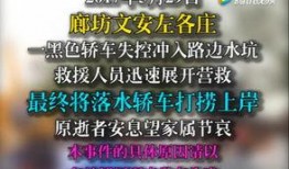 文安网友爆料新闻视频播放,新闻视频引发热议，真相究竟如何？