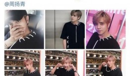 王校长爆料娱乐圈小说,王校长独家爆料背后的故事