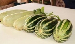 留学圈网红吃瓜,揭秘那些背后的“吃瓜”故事