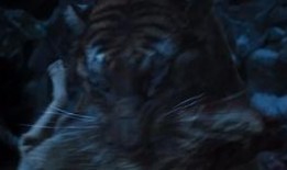 韩国大虎手机在线观看,在线观看揭秘神秘科技力量