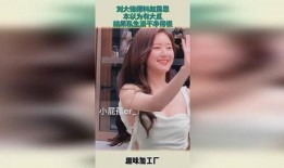 刘大锤最新爆料赵露思,娱乐圈新瓜来袭！