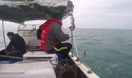 船在线观看,船在线实时观看之旅