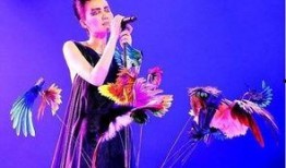 娱乐大爆料老燕子,揭秘老燕子背后的惊人故事