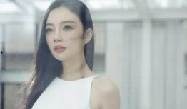 网友吴小姐爆料事件视频,揭秘事件背后真相