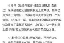 杭州日报热点爆料新闻最新,揭秘杭州最新网红打卡地，带你领略城市魅力新地标