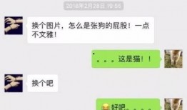 最新爆料谭竹聊天记录图片,揭秘背后惊人内幕