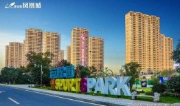 碧桂园爆料小夜曲视频,揭秘项目背后的故事与真相