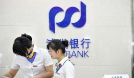 浦发银行最新爆料,揭秘金融巨头背后的秘密与挑战