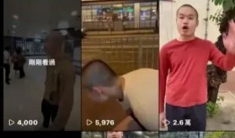 新生社视频被爆料,视频爆料背后的真相与争议