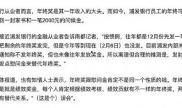 浦发银行最新爆料,揭秘金融巨头背后的秘密与挑战