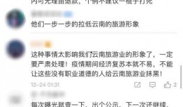 知名导游爆料事件视频,揭秘旅游行业背后的惊人真相