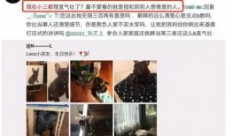 咸阳出轨爆料案件视频曝光,视频曝光引发舆论风暴