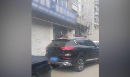 沈阳月亮最新爆料,最新爆料背后的惊人真相