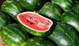 哪个平台能免费吃瓜,轻松畅享娱乐盛宴