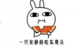 吃瓜免费事件,揭秘网络狂欢背后的真相