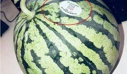 十位吃瓜网红,揭秘娱乐圈幕后风云