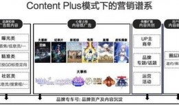 爆料箱的视频放不出来,爆料箱视频无法播放之谜