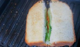 网红爆料三明治店视频,三明治店背后的惊人秘密，你敢吃吗？