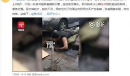 遂川爆料哥7月新闻视频,聚焦热点事件，揭示社会真相