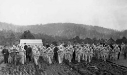 八公山新闻爆料事件始末,真相与争议的交织