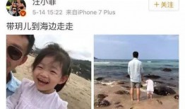 光头邻居爆料视频,一场意想不到的邻里风云