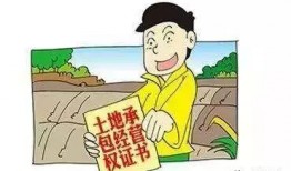 农村纠纷爆料案例最新版,邻里矛盾升级，法律维权之路如何走？