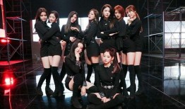 九人合照爆料视频大全下载,视频大全下载背后的故事