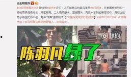 文安网友爆料新闻视频播放,新闻视频引发热议，真相究竟如何？