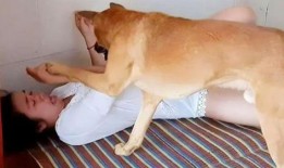 狗和女人视频在线观看,治愈系视频在线观看