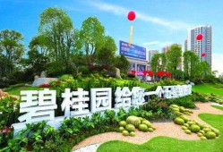 碧桂园爆料小夜曲视频,揭秘项目背后的故事与真相