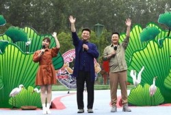 枫丹最新爆料搞笑视频,笑料百出，笑翻你的周末！