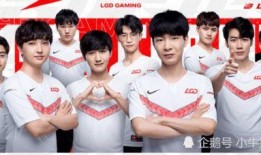 世界赛战队爆料视频大全,揭秘赛场幕后精彩瞬间