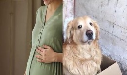 狗和女人视频在线观看,治愈系视频在线观看