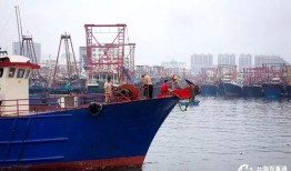 爆料渔船视频,揭秘深海奇观与未知生物之谜