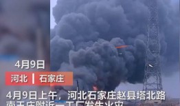 福建工厂爆料视频播放,揭秘真实生产现场