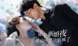 在线观看婚战,揭秘现代婚姻的甜蜜与苦涩