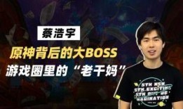 蔡浩宇爆料原神视频,揭秘游戏制作背后的故事