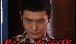 明星被爆料黑历史视频,真相揭露令人震惊