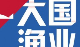 小蛙最新爆料新闻,最新爆料新闻背后的真相与内幕